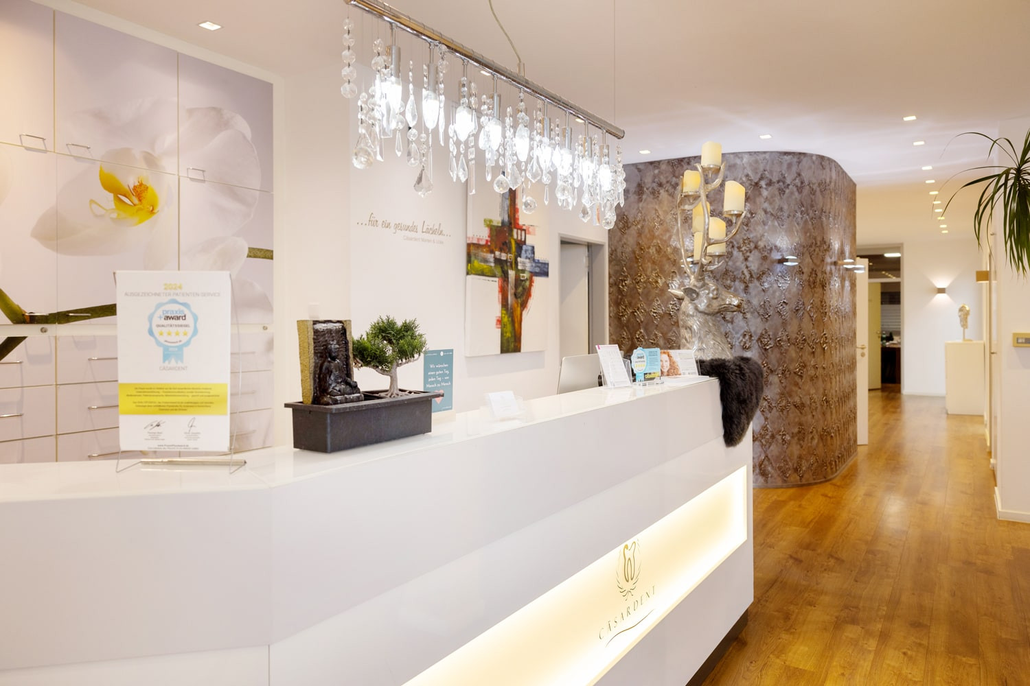 05 blick in unsere praxis.jpg 05 blick in unsere praxis.jpg